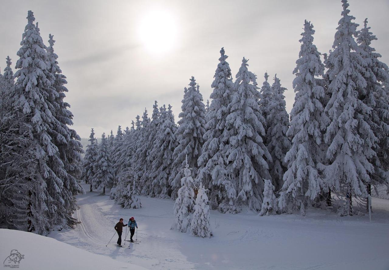 Gipfelstuermer Winterberg Zewnętrze zdjęcie